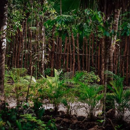 Lunita Jungle Experience Hotel Puerto Morelos Exterior photo