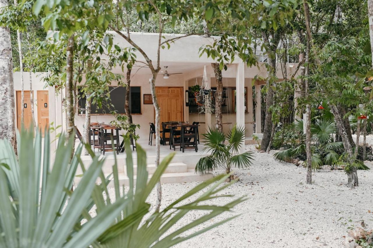 Lunita Jungle Experience Hotel Puerto Morelos Exterior photo